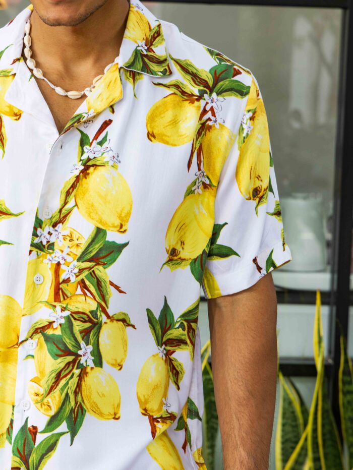 Lemon Grove - Image 2